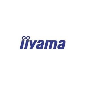Iiyama OWM001 - Netzwerkadapter - 802,11b, 802,11a, 802,11g, 802,11n, 802,11ac - Schwarz (OWM001)
