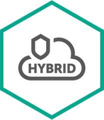 Kaspersky Hybrid Cloud Security Enterprise Server - Rinnovo licenza abbonamento (3 anni) - 1 server virtuale - Volume - Livello