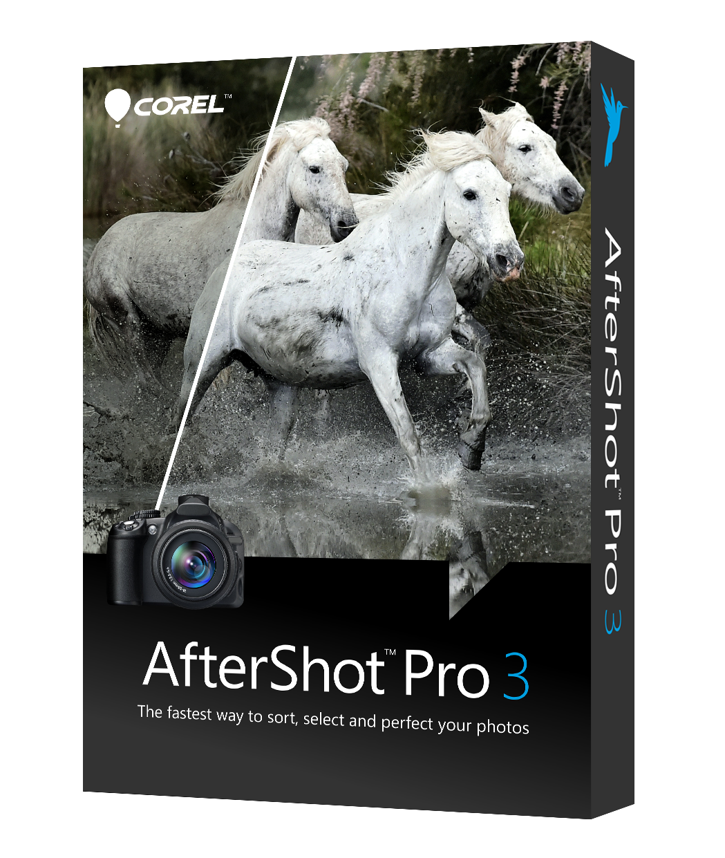 Corel AfterShot Pro Kreativitet - billed/video/lydsamling 1 bruger