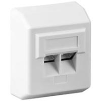 Wentronic - Wanddose - Wand montierbar - weiß - 2 Ports