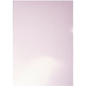 Esselte Leitz - A4 (210 x 297 mm) - weiß, glänzend - 250 g/m2 - Bindemappe (37300)
