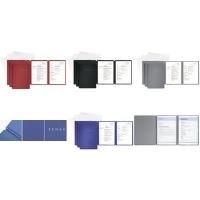 PAGNA Bewerbungs-Set Special, DIN A4, grau, 3-teilig - für den Markt: D / L / A / CH - 1 Stück (22028-06)