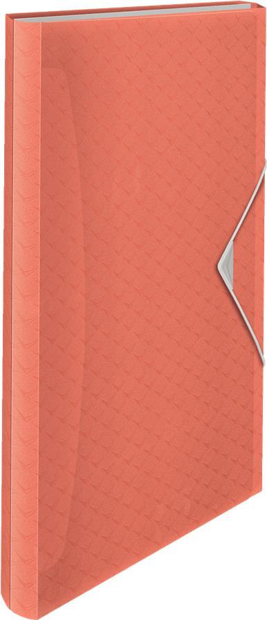 Esselte Projektmappe Colour'Ice, A4, PP, 6 Fächer, apricot 5 Fächer mit Beschriftungstaben inkl. Beschriftungs - 1 Stück (626251)