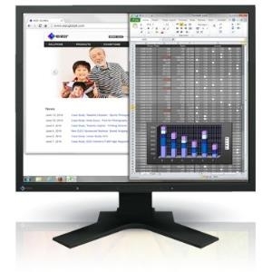 EIZO FlexScan S1934H - LED-Monitor - 48.1 cm ( 48,30cm (19) ) - 1280 x 1024 - IPS - 250 cd/m² - 1000:1 - 14 ms - DVI-D, VGA, DisplayPort - Lautsprecher - Schwarz