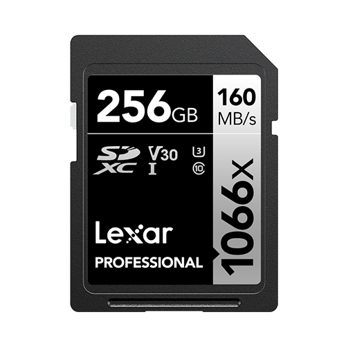 Lexar Professional 1066x 256 GB SDXC UHS-I Classe 10 (256GB Lexar Professional 1066x SDXC UHS-I Card)