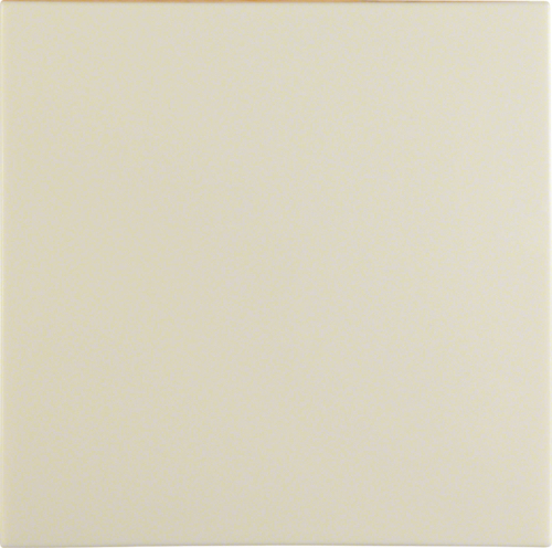 Berker GmbH & Co. KG Wippe 16208982 weiss glänzend (16208982)