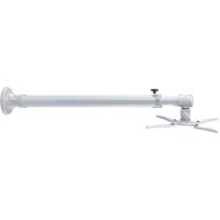 NewStar BEAMER-W100SILVER - Befestigungskit (Wandmontage) für Projektor (neig- und schwenkbar) - Silber (BEAMER-W100SILVER)
