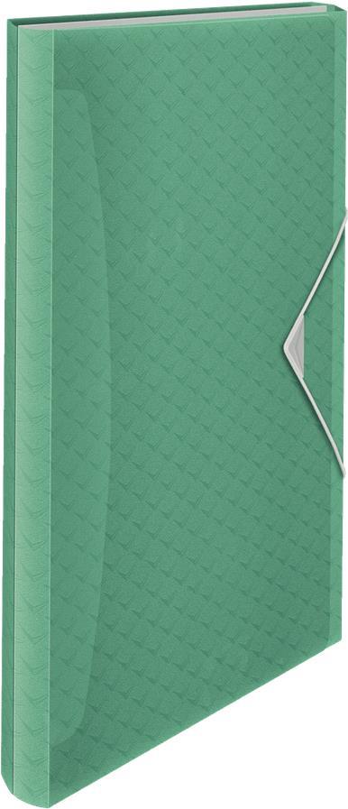 Esselte Projektmappe Colour'Ice, A4, PP, 6 Fächer, grün 5 Fächer mit Beschriftungstaben inkl. Beschriftungs - 1 Stück (626253)