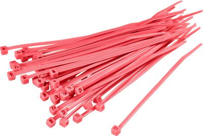 TRU COMPONENTS 1593699 TC-CV200M203 Kabelbinder 203 mm Rot 100 St. (1593699)