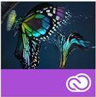 Adobe Premiere Pro CC for teams - Team Lizenz Abonnement Erneuerung (monatlich) - 1 Benutzer - Reg. - VIP Select - Stufe 13 (50-99) - 3 years commitment - Win, Mac - EU English (65297633BC13A12)