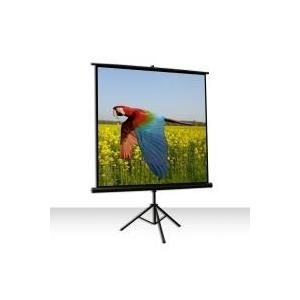 Celexon Economy tripod screen - Projektionsbildschirm mit Stativ - 1:1 (1090016)