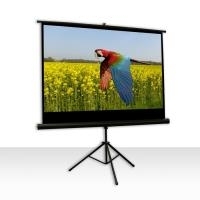 Celexon Economy tripod screen - Projektionsbildschirm mit Stativ - 16:9