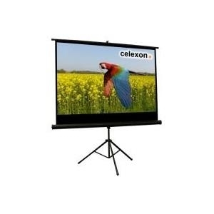Celexon Economy tripod screen - Projektionsbildschirm mit Stativ - 153 cm (60 ) - 16:9