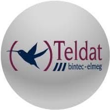 Teldat BinTec X.25 Feture Set - Lizenz - für BinTec R4100, R4300 (24562)