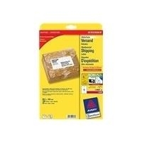 Avery Zweckform L7994 - Permanente selbstklebende wetterfeste Versandetiketten - weiß - 99,1 x 139 mm - 100 Etikett(en) (25 Bogen x 4) - (L7994-25)