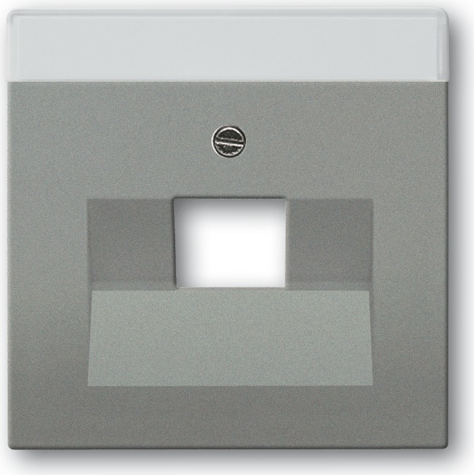 Busch Jaeger 1710-0-3852 Wandplatte/Schalterabdeckung Grau - Metallisch (1710-0-3852)