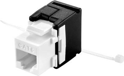 Renkforce RJ45-Einbaumodul werkzeugfrei Keystone CAT 6a Renkforce (RF-3528272)