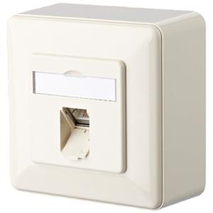 BTR E-DAT C6A AP - Wanddose - RJ-45 - Pearl White, RAL 1013 (130C370001-I)