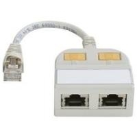 Telegärtner Token Ring-Splitter - RJ-45 (M) - RJ-45 (W) - abgeschirmt - Hellgrau (J00029A0011)