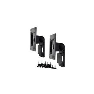 Ergotron Dual Monitor Tilt Pivot Kit - Befestigungskit (2 Drehgelenke, 2 Kabelbinder, Schrauben) für 2 Monitore - Schwarz