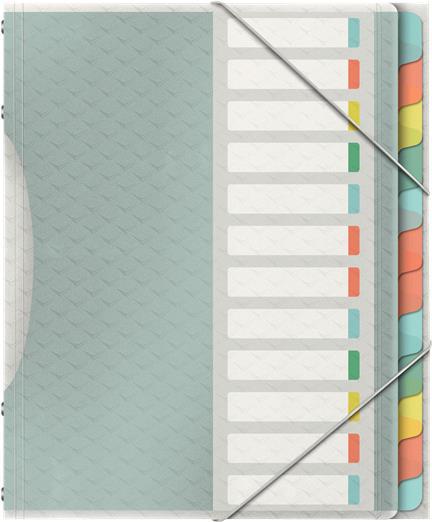 Esselte Ordnungsmappe Colour'Ice, A4, PP, 12 Fächer 3 Schutzklappen am Rückdeckel, transparentes Design mit - 1 Stück (626256)