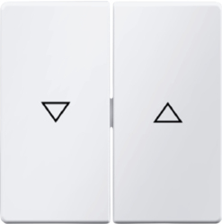 Berker GmbH & Co. KG 16256089 Zubehör für elektrische Schalter (16256089)