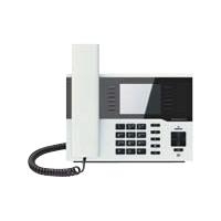Innovaphone IP222 - VoIP-Telefon - SIP, SIP v2, H.323 v5 - mehrere Leitungen - weiß (01-00222-002)