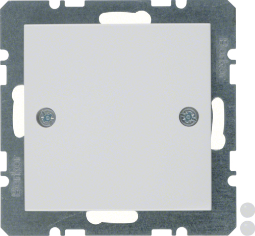 Berker GmbH & Co. KG 10098919 Wandplatte/Schalterabdeckung Weiß (10098919)