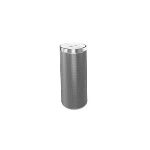 Grundig FineArts MR 2000 - Lautsprecher - tragbar - drahtlos - 20 Watt - weiß, Silber (GLR7400)