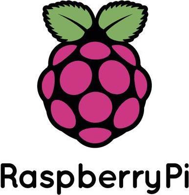 Raspberry Pi® Zero 512 MB ohne Betriebssystem (RPI-ZERO-W o. GPIO)