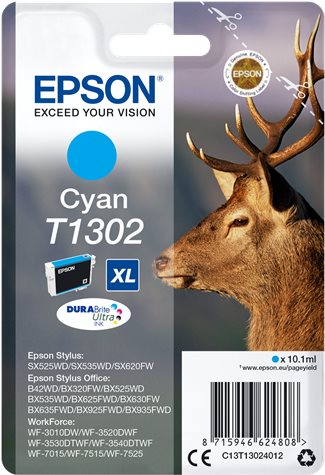 EPSON C13T13024012