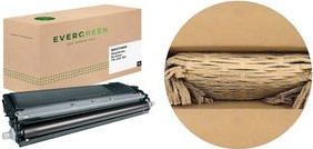 Toner EVERGREEN sostituisce Brother TN-242BK, nero capacità: 2.500 pagine - 1 pezzo (EGTBTN242BE)