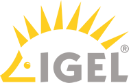 UD Pocket, IGEL OS 11 (requires IGEL Workspace Edition license to operate) installed, 8GB storage (H7O000000000000)