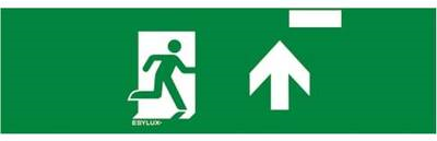 ESYLUX EN10077456 Piktogramm Rettungsweg (EN10077456)