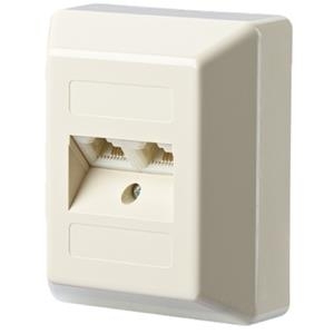 BTR IT CONNECT UAE 2x8 AP - Wanddose - RJ-45 X 2 - Pearl White, RAL 1013