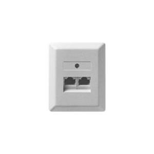 ZE Kommunikationstechnik UAE 2x8 - Wanddose - RJ-45 (4-polig) X 2 - Pearl White, RAL 1013 - Abdeckung mit einer Aussparung (1-622.72.5.01)