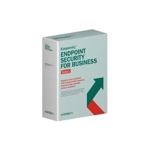 Kaspersky Endpoint Security for Business - Select - Abonnement-Lizenz (2 Jahre) - 1 Knoten - Volumen - Stufe N (20-24) - Win - Europa (KL4863XANDS)