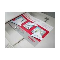 REGULUS Synthetic Paper Signolit - Polyesterpapier - Opaque White - A4 (210 x 297 mm) - 100 Blatt (SC22A4)