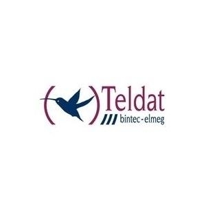 BINTEC IPSEC-CLIENT10-UPDATE / Update 10 x Teldat Secure IPSec Clients um zwei Major-Versionen