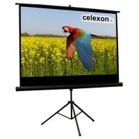 Celexon Economy tripod screen - Projektionsbildschirm mit Stativ - 181 cm (71 ) - 16:9