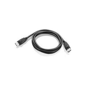 Lenovo - DisplayPort-Kabel - DisplayPort (M) - DisplayPort (M) - 1,8m - für ThinkCentre Edge 71, ThinkCentre M78, ThinkStation E31, ThinkVision LT1952, LT2252, LT2452 (0A36537)