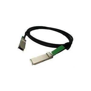 Lenovo BNT 40Gb QSFP+ Direct Attach Cable - Netzwerkkabel - QSFP+ bis QSFP+ - 1 m - für BNT RackSwitch G8264F, RackSwitch G8264R (49Y7890)