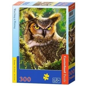 Castor 300 ELEMENTS Owl (030231)