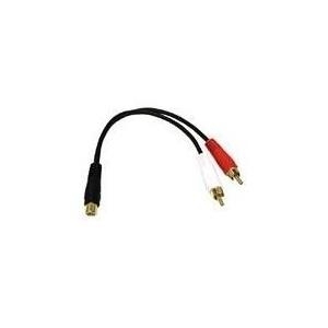 C2G Value Series Y-Cable - Audio-Adapter - 26 AWG - RCA (W) - bis - RCA (M) - abgeschirmt - Schwarz (80138)