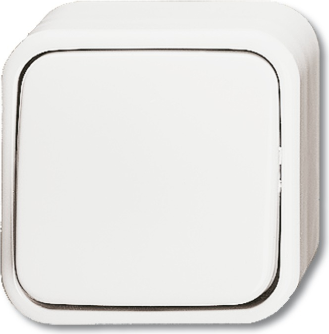 BUSCH-JAEGER Wechselschalter 2601/6AP Duro 2000 AP 2601/6AP (1042-0-0621)