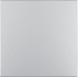Berker GmbH & Co. KG 16201404 Zubehör für elektrische Schalter (16201404)