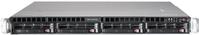 bluechip SERVERline R31309s server 960 GB Rack (1U) AMD EPYC 4124P 38 GHz 32 GB DDR5-SDRAM 350 W