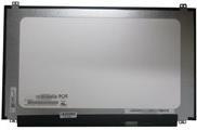 Display 15.6 Inch - Warranty: 3M