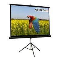 Celexon Economy tripod screen - Projektionsbildschirm mit Stativ - 197 cm (78 ) - 4:3