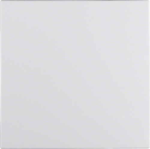 Berker GmbH & Co. KG 16201909 Zubehör für elektrische Schalter (16201909)